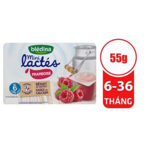 Sữa chua Bledina vị mâm xôi 55g (1 hộp)