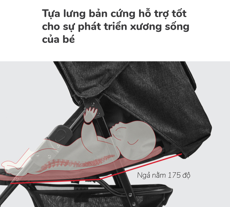 xe-day-doi-seebaby-t22-3
