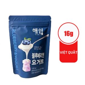 Sữa chua sấy lạnh Haeswim vị việt quất 16g