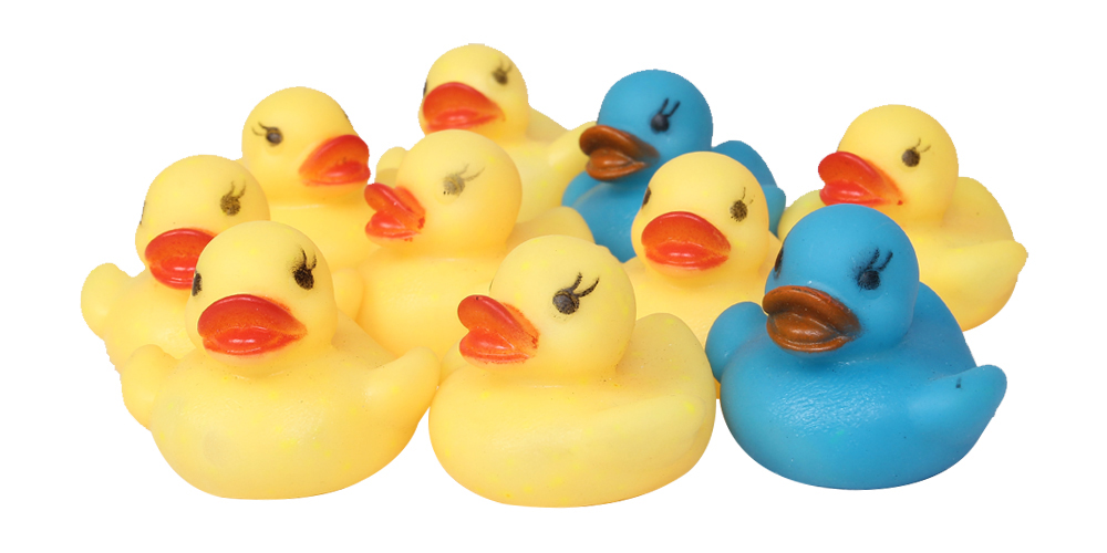 DC-tui-luoi-10-chu-vit-be-104229-3