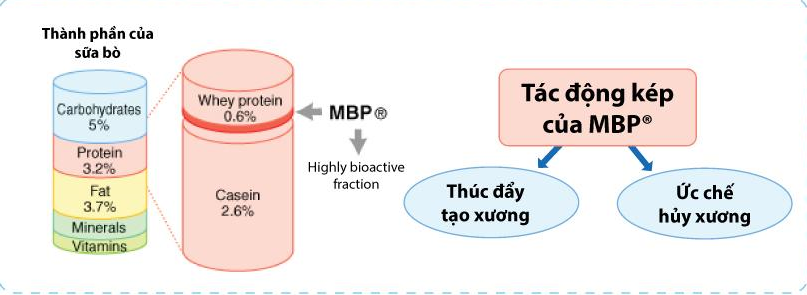 thuc-pham-bo-sung-guun-up-cacao