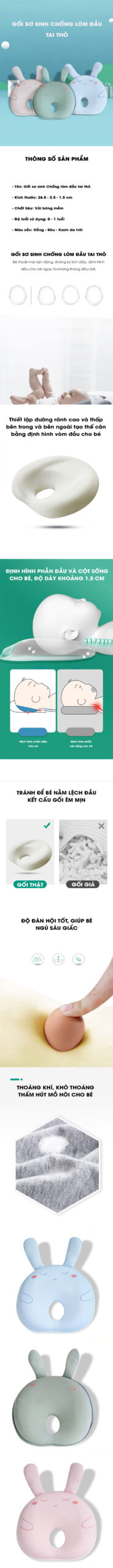 Goi-so-sinh-lom-tai-tho-TW01