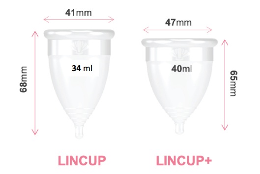 lincup-kich-thuoc-san-pham lincup-kich-thuoc-san-pham