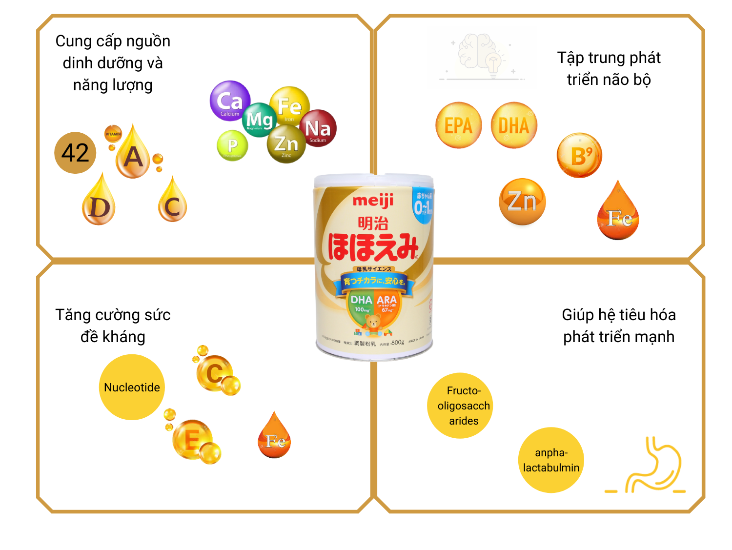 Vai trò của sữa meiji số 0 sua-meiji-so-0