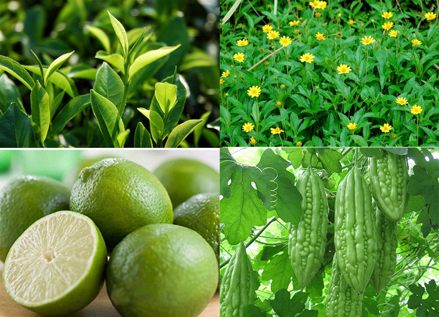 thanh-phan-nuoc-tam-goi-elemis