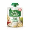 trai-cay-nghien_-only-organic-vi_-chuoi-tao-le-120-g-tren-6_-thang-2.jpg