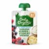 trai-cay-nghien_-sua-chua-only-_organic-vi-chuoi_-berries-120-g-tren_-8-thang.jpg